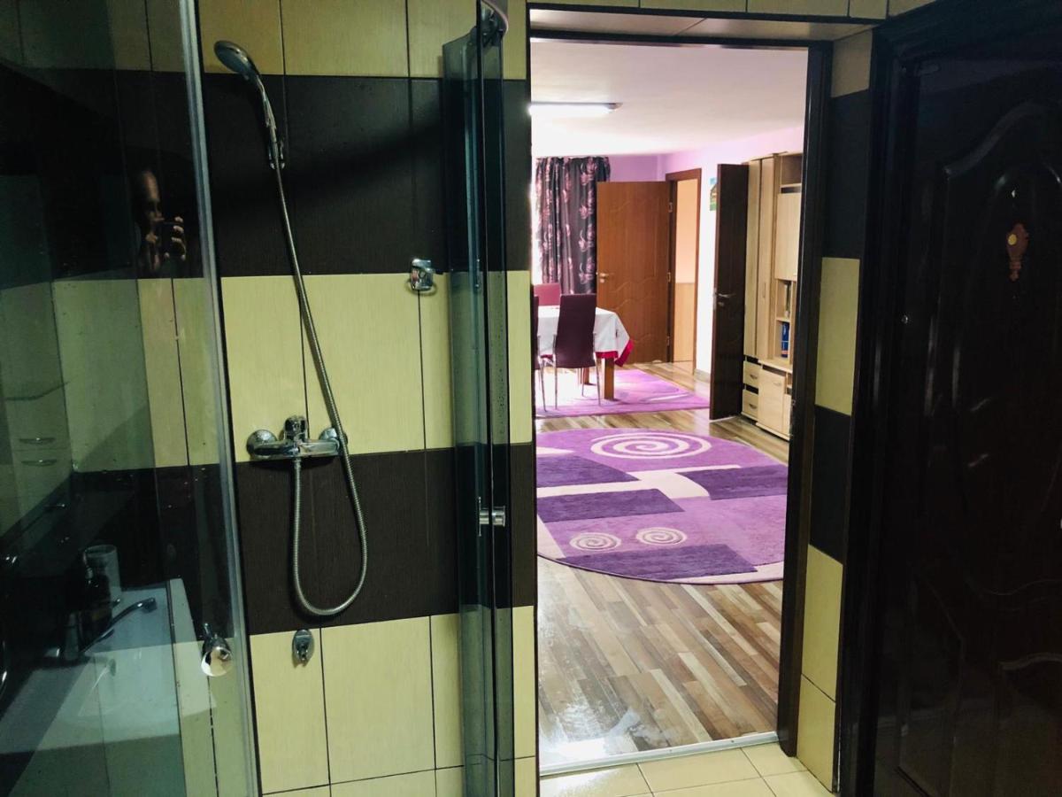 Casa De La Lac Sighetu Marmaţiei Dış mekan fotoğraf