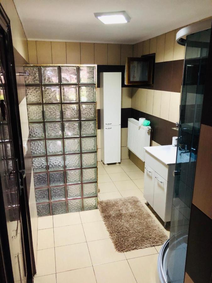 Casa De La Lac Sighetu Marmaţiei Dış mekan fotoğraf