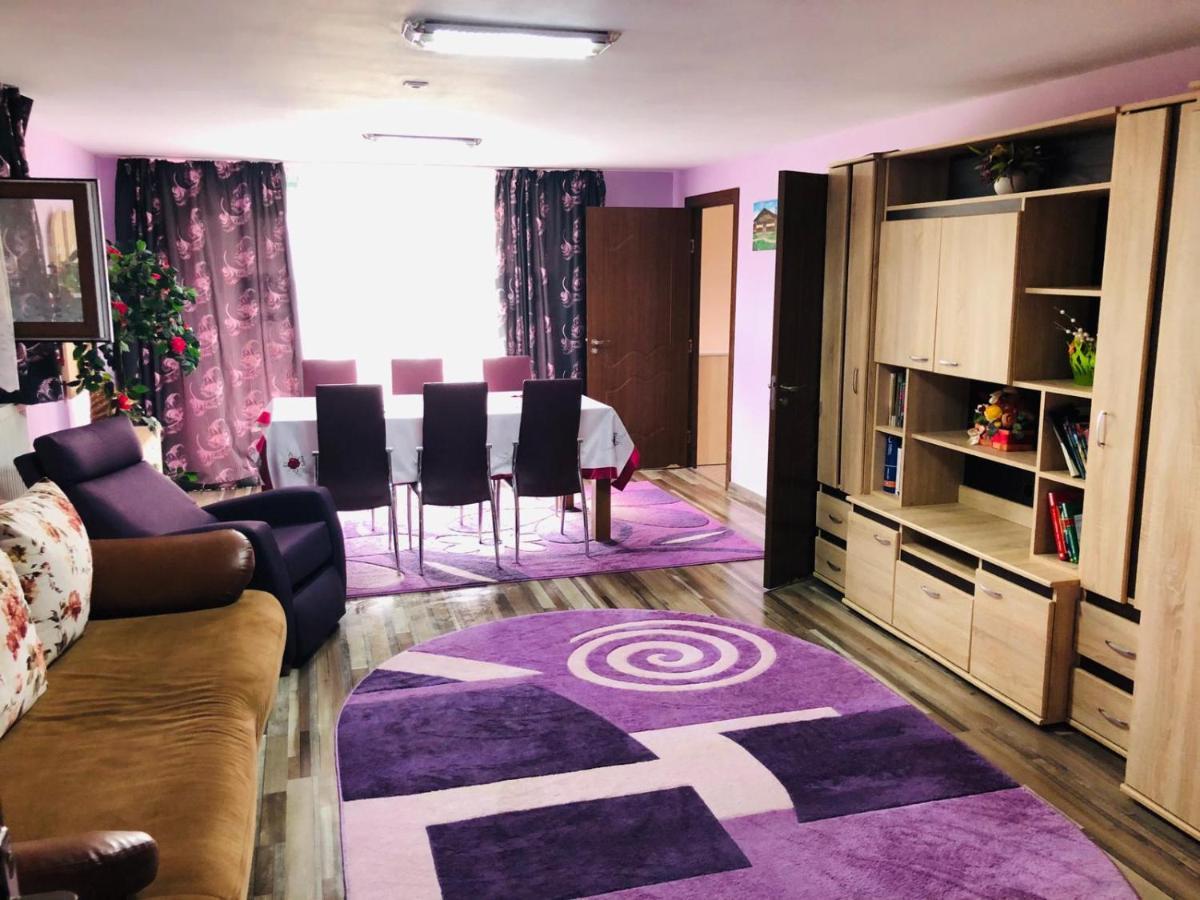 Casa De La Lac Sighetu Marmaţiei Dış mekan fotoğraf