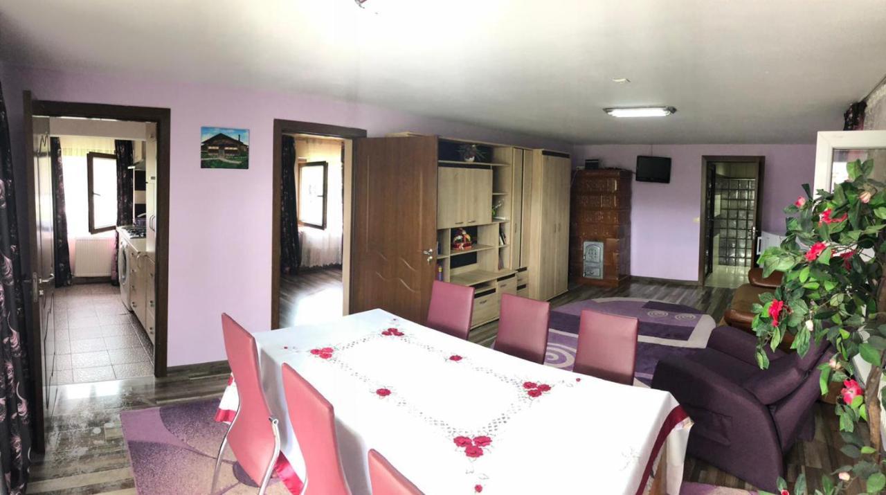 Casa De La Lac Sighetu Marmaţiei Dış mekan fotoğraf